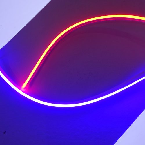Neon Flex LED